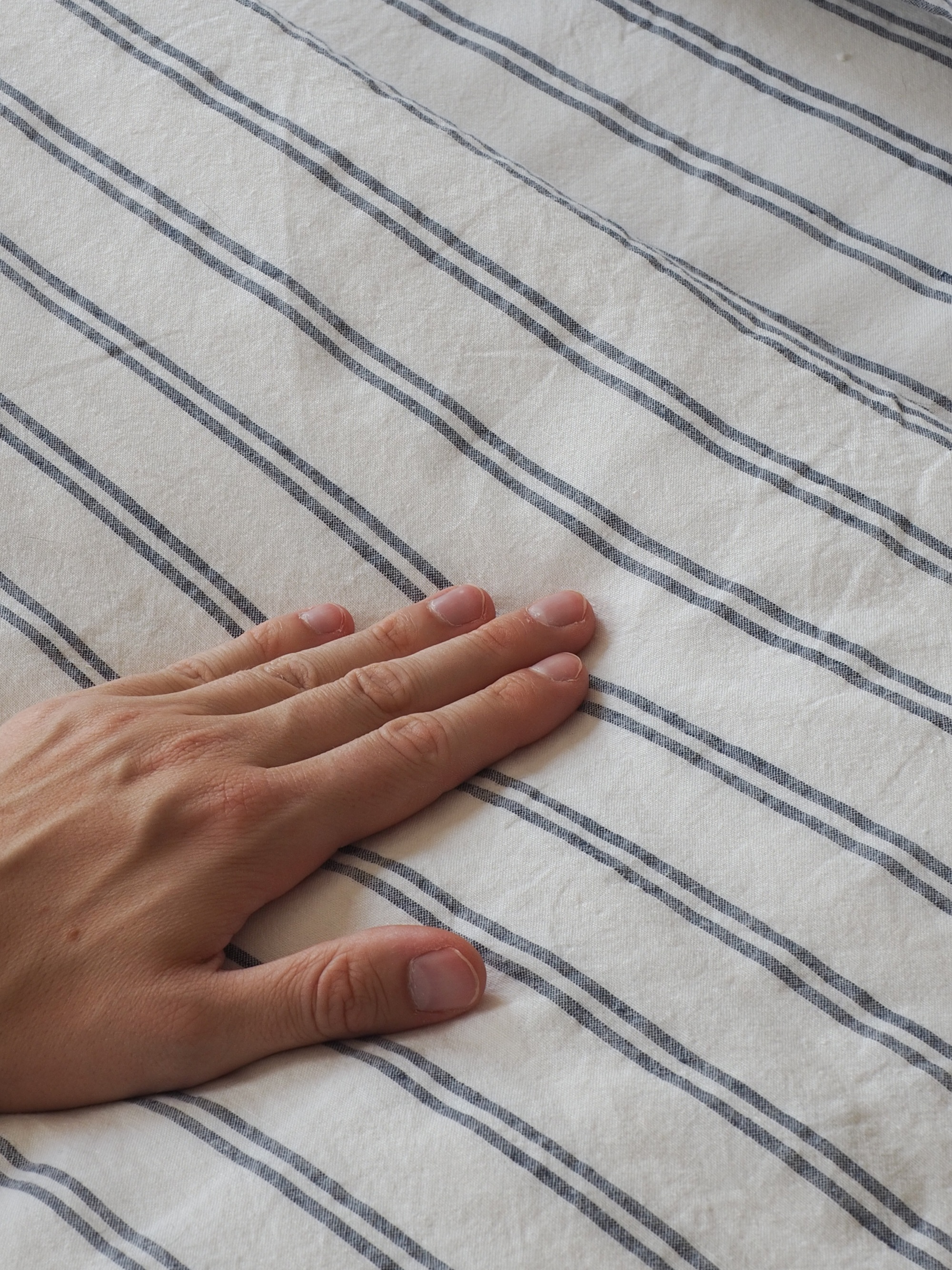 piglet in bed striped bedding close up