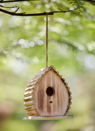 hanging wooden nest box
