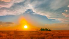 Combines at work at sunset during the wheat harvest, Shields & Sons Farming in Goodland, Kansas 