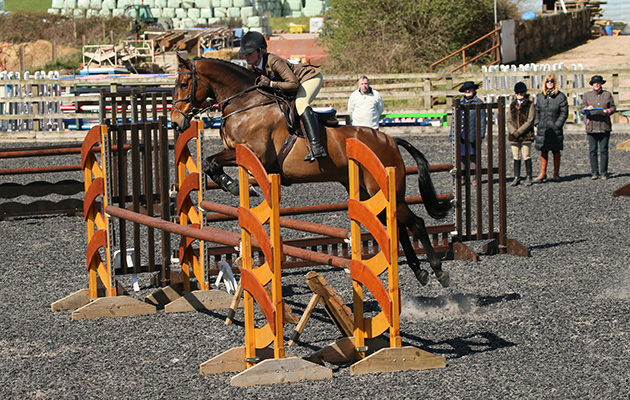 RIHS Open Working Hunter WINNER&amp;#8232;71 CARNSDALE MR COOL ALICE BARNES