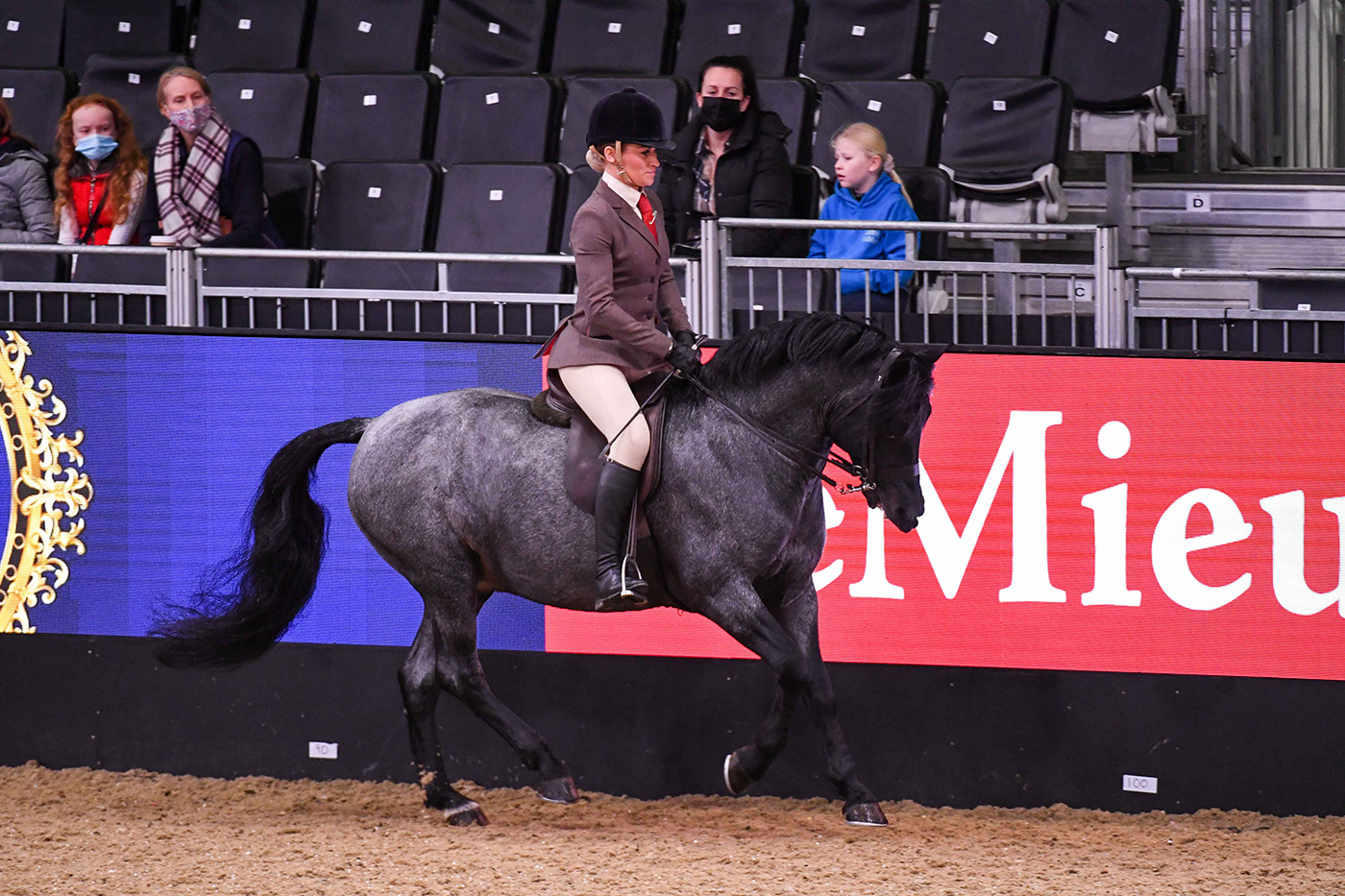 HorseNo15_LIHS_PN21_4864