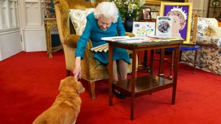 Queen Elizabeth II is joined by one of her dogs, a Dorgi called Candy, as she views a display of memorabilia from her Golden and Platinum Jubilees in the Oak Room at Windsor Castle on February 4, 2022 in Windsor, England. The Queen has since travelled to her Sandringham estate where she traditionally spends the anniversary of her accession to the throne - February 6 - a poignant day as it is the date her father King George VI died in 1952.