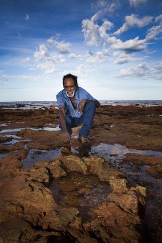 australia's dinosaur tracks