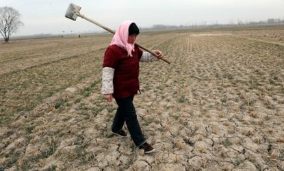 The wheat belt of Northern China has reportedly received little or no precipitation since October -- the most severe drought in 60 years. 