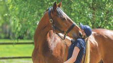 HAH00.lb_stockspring23.Field_and_Turnout__F2A2364.jpg