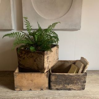 three wooden storage boxes, vintage in style, plant in one