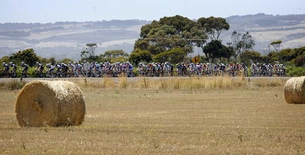 Hay! Is that the peloton?