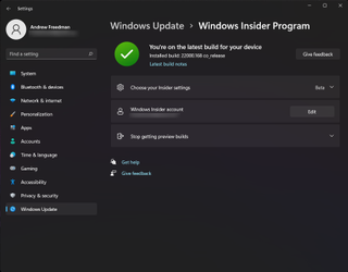 Turn off Windows 11 Preview Builds