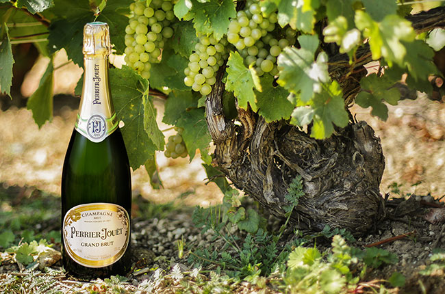 Perrier-Jou&euml;t, australia, champagne