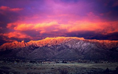 Albuquerque, N.M.