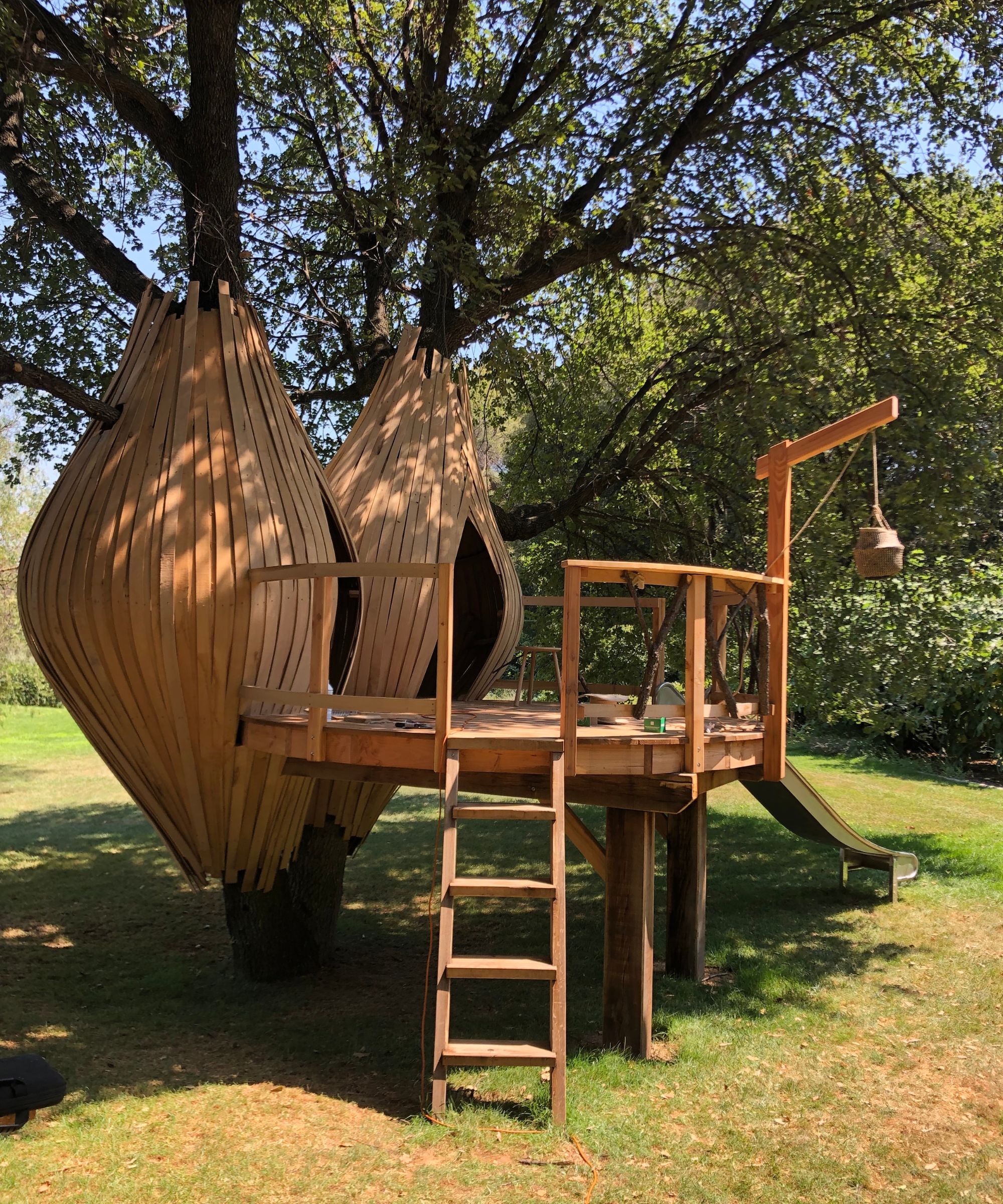 Two teardrop-shaped wooden pods connected to a deck with a ladder and a slide, built around the trunks of trees.