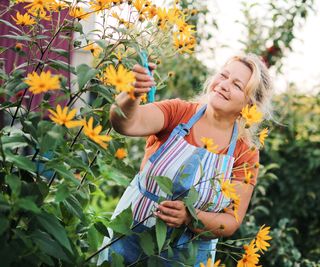 deadheading flowers in late summer