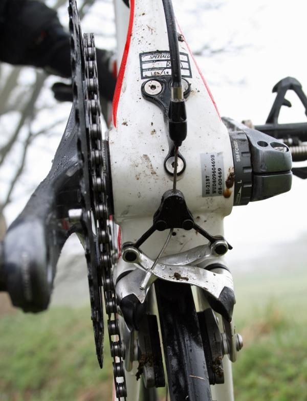 Specialized Transition Expert