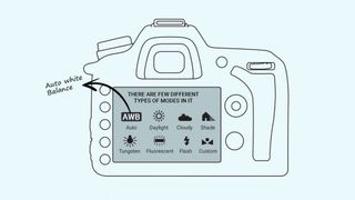 Illustration shows the back of a camera with Auto White Balance selected