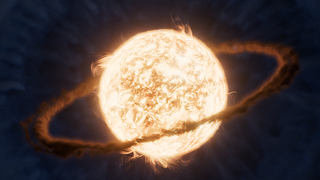 An illustration of a yellow orb that looks slightly fuzzy, with a dark brown puffy ring around it.