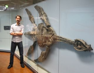 Study co-researcher Adam Smith stands next to a Meyerasaurus victor skeleton at the Museum am Löwentor in Germany.