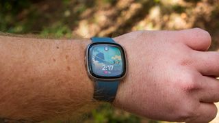 Fitbit Versa 4 on-wrist with Google Arts & Culture watch face
