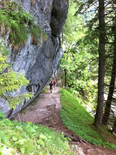 Some amazing trails on foot and bike