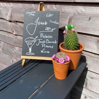 counter with pallet furniture potted plant and menu board