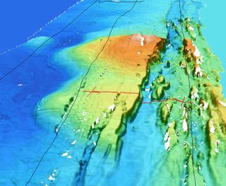 On this sonar-made map, the hydrothermal vents, marked by a yellow circle, can be clearly seen rising above the seafloor.
