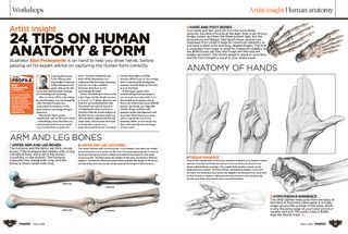 Feast your eyes on ten pages of helpful anatomy advice from Stan Prokopenko