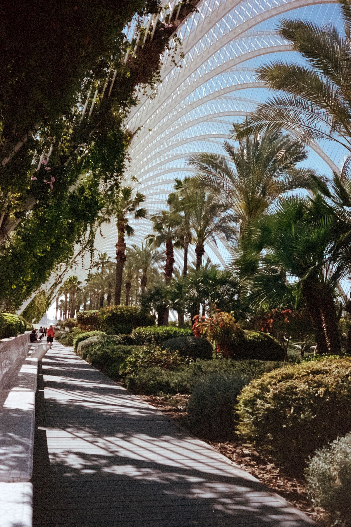 Palau de les arts gardens in Valencia Spain
