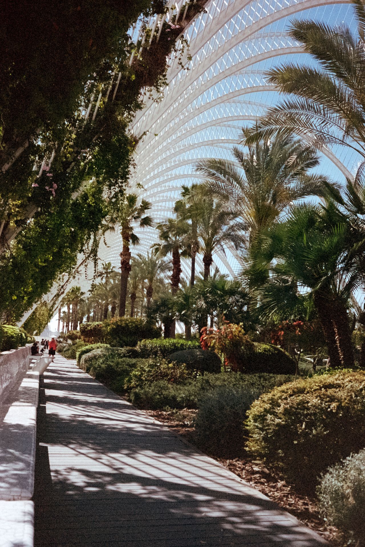 Palau de les arts gardens in Valencia Spain