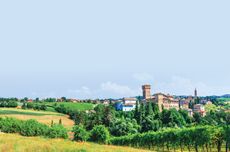 South of Modena in central Emilia, vines on the edge of Levizzano Rangone village, looking towards its castle
