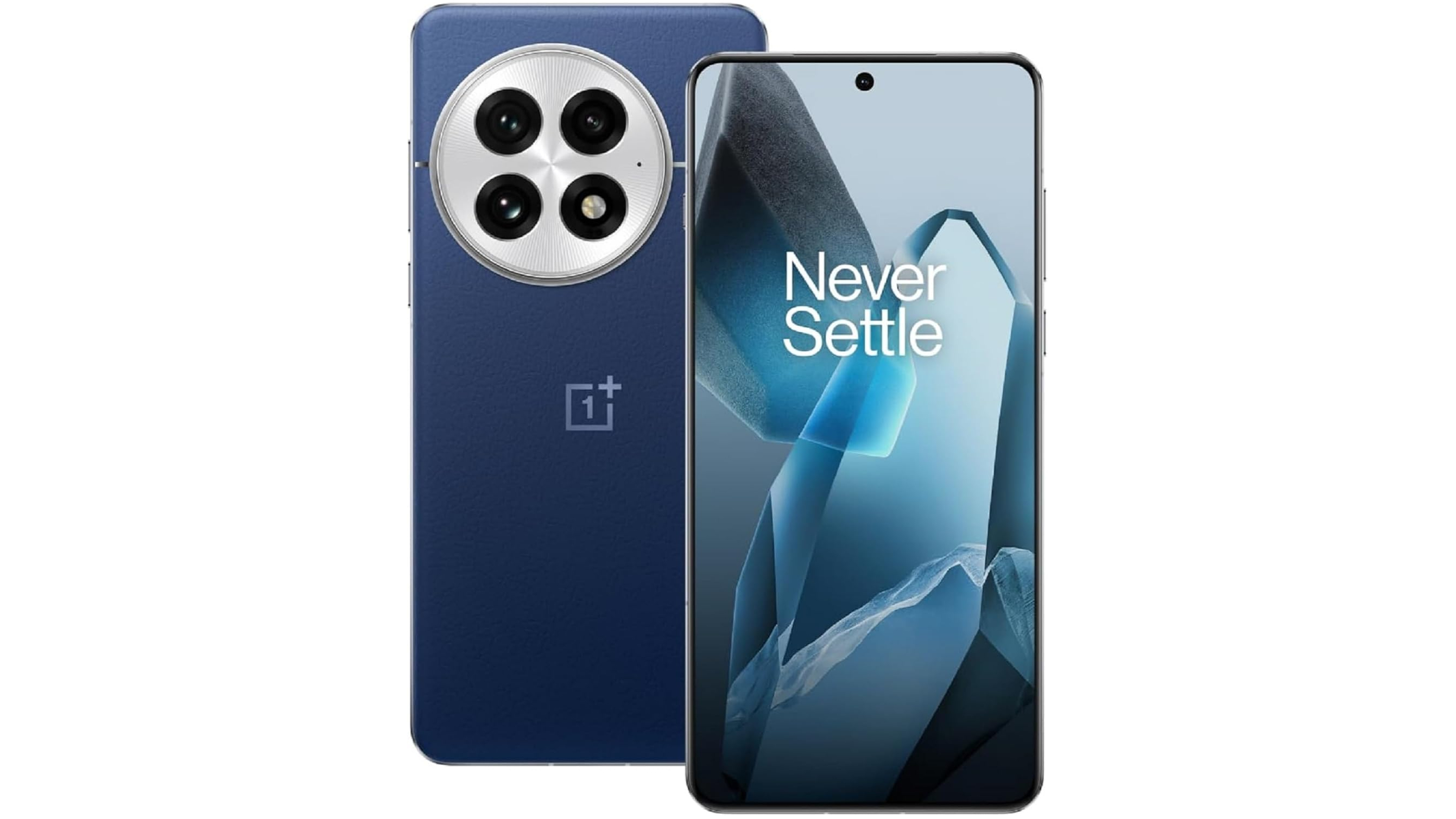 OnePlus 13