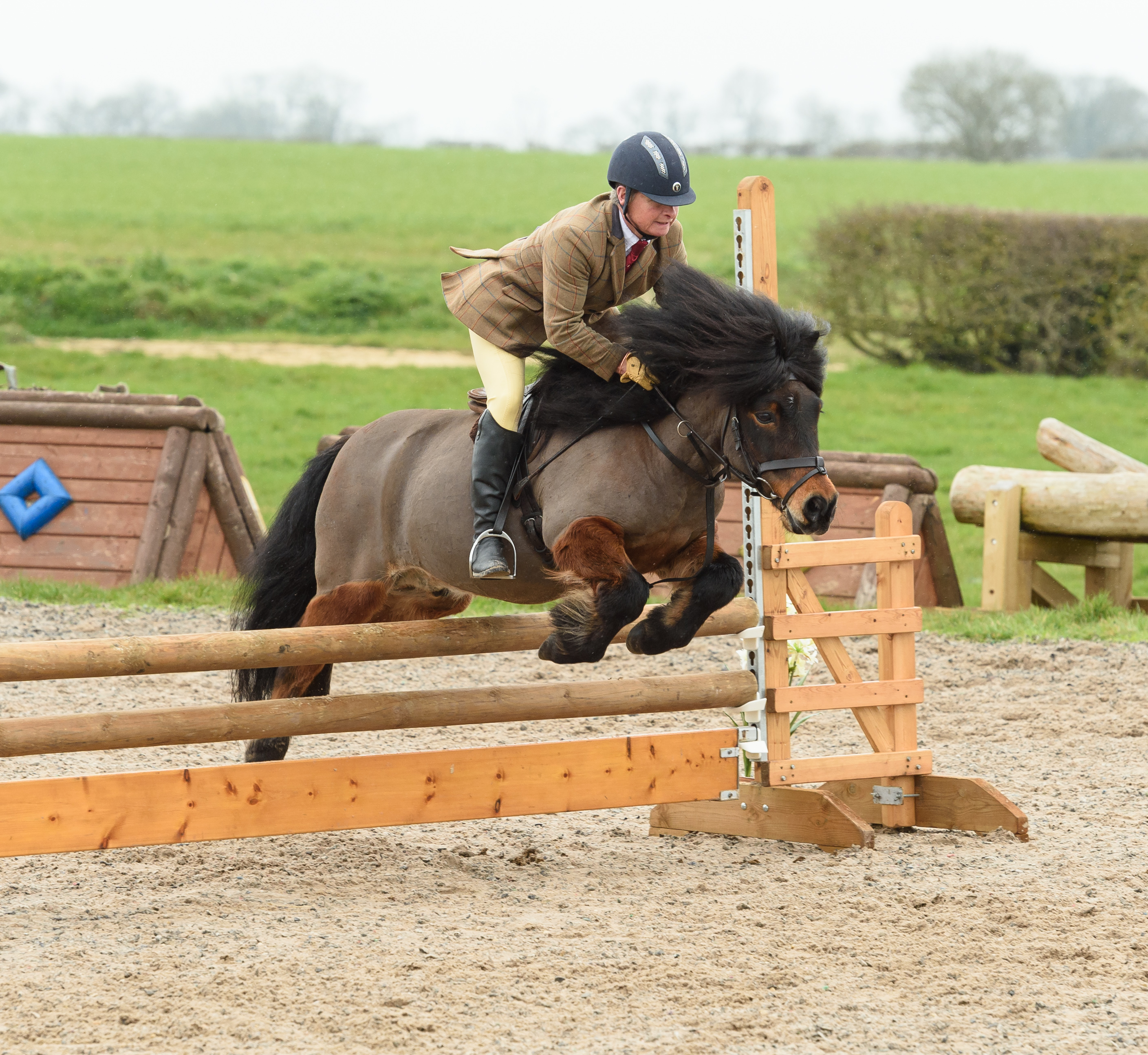 birchmoredrover