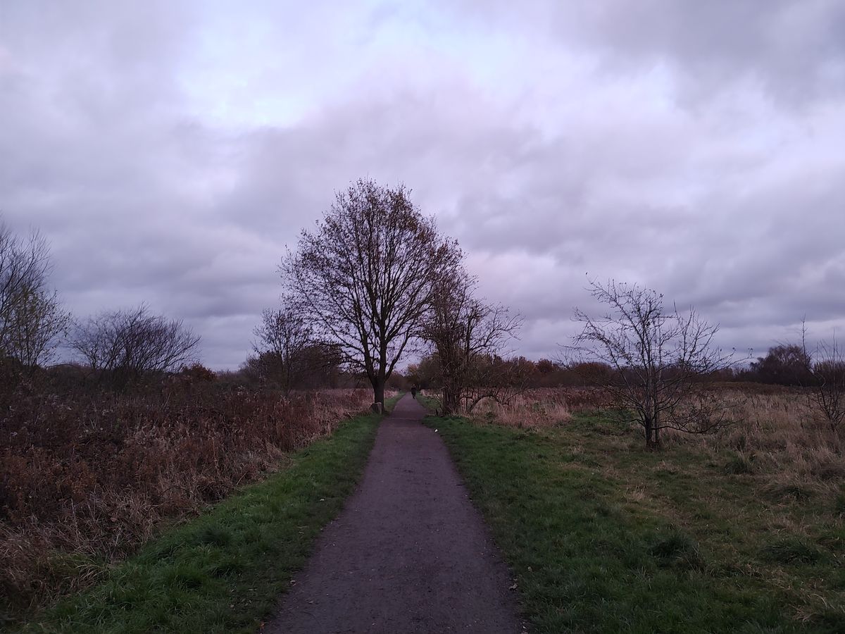 A Motorola Edge 20 camera sample