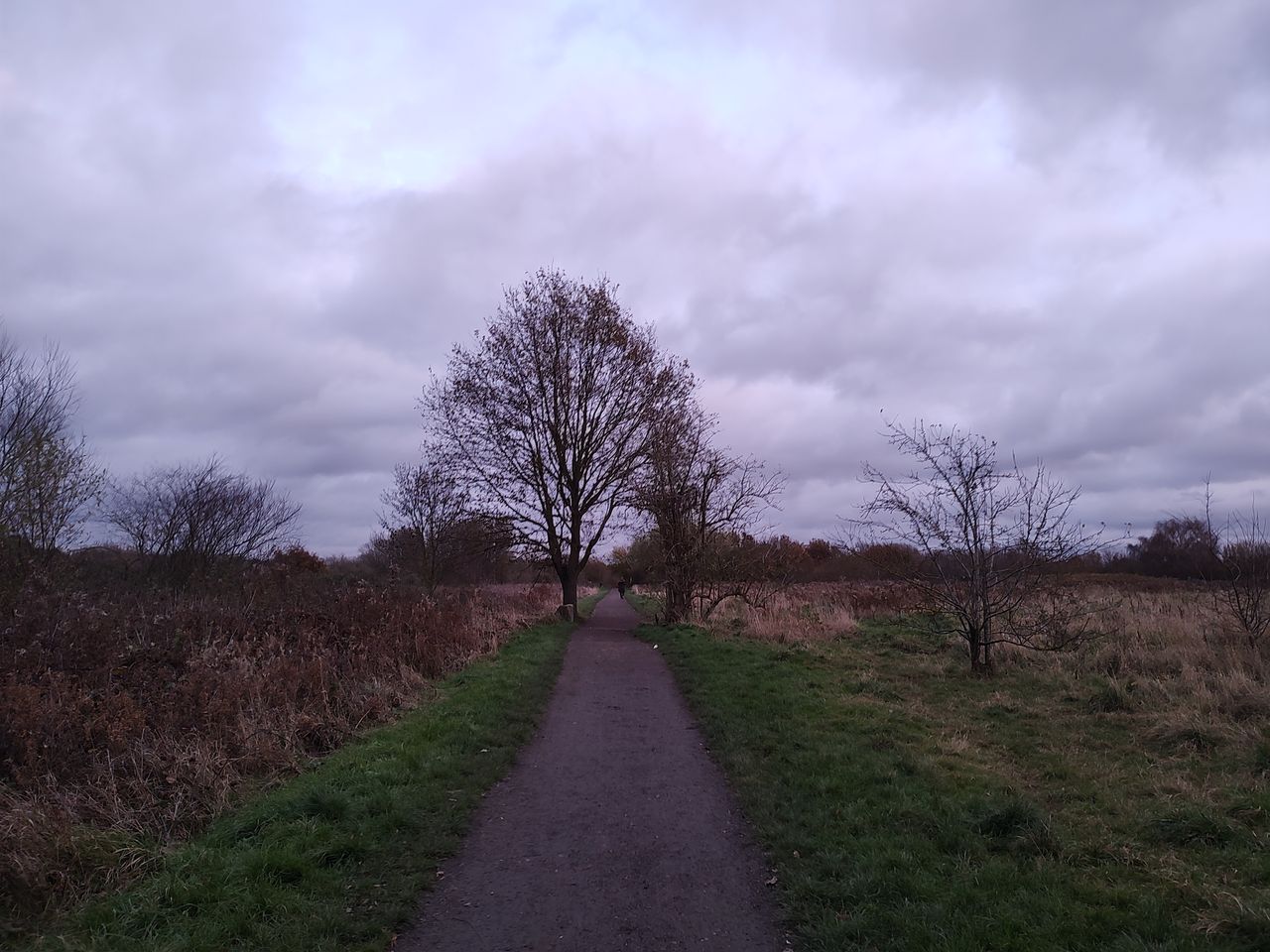 A Motorola Edge 20 camera sample