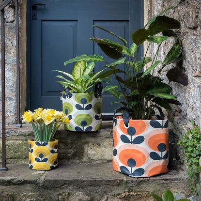 floral designed potted plants and blue door