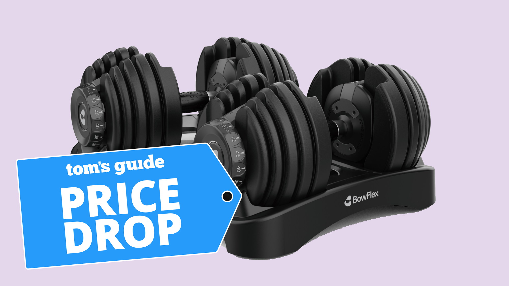 BowFlex 552 Adjustable Dumbbells