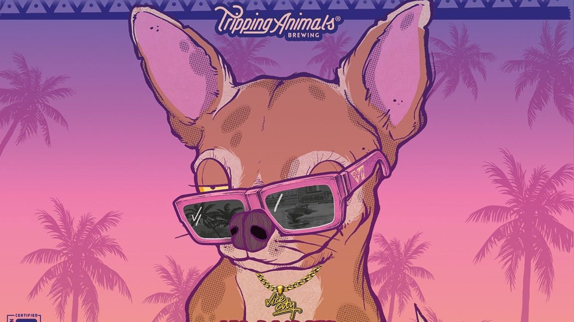 Drunken chihuahua wearing pink sunglasses