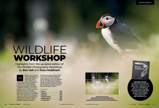 Photo of opening two pages of the wildlife cover feature in the August 2024 issue of Digital Camera magazine