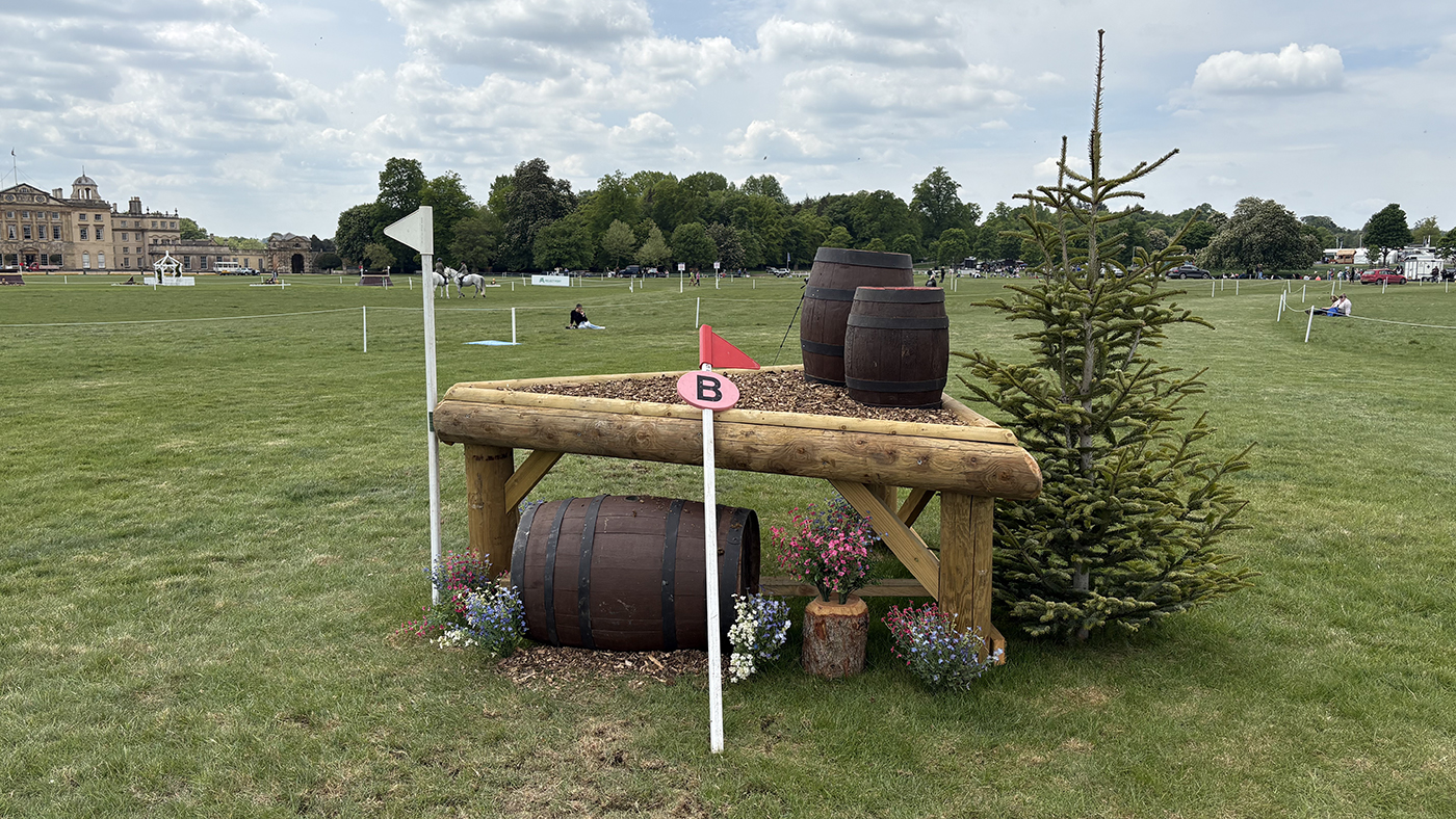 BE100 grassroots championships cross-country course: 15b