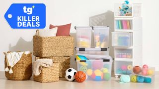 Organization