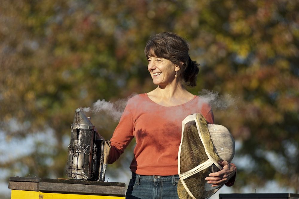 Marla Spivak getting ready to engage University of Minnesota bee colonies.