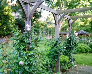 pergola with roses climbing up the supports by Jo Thompson Garden Design