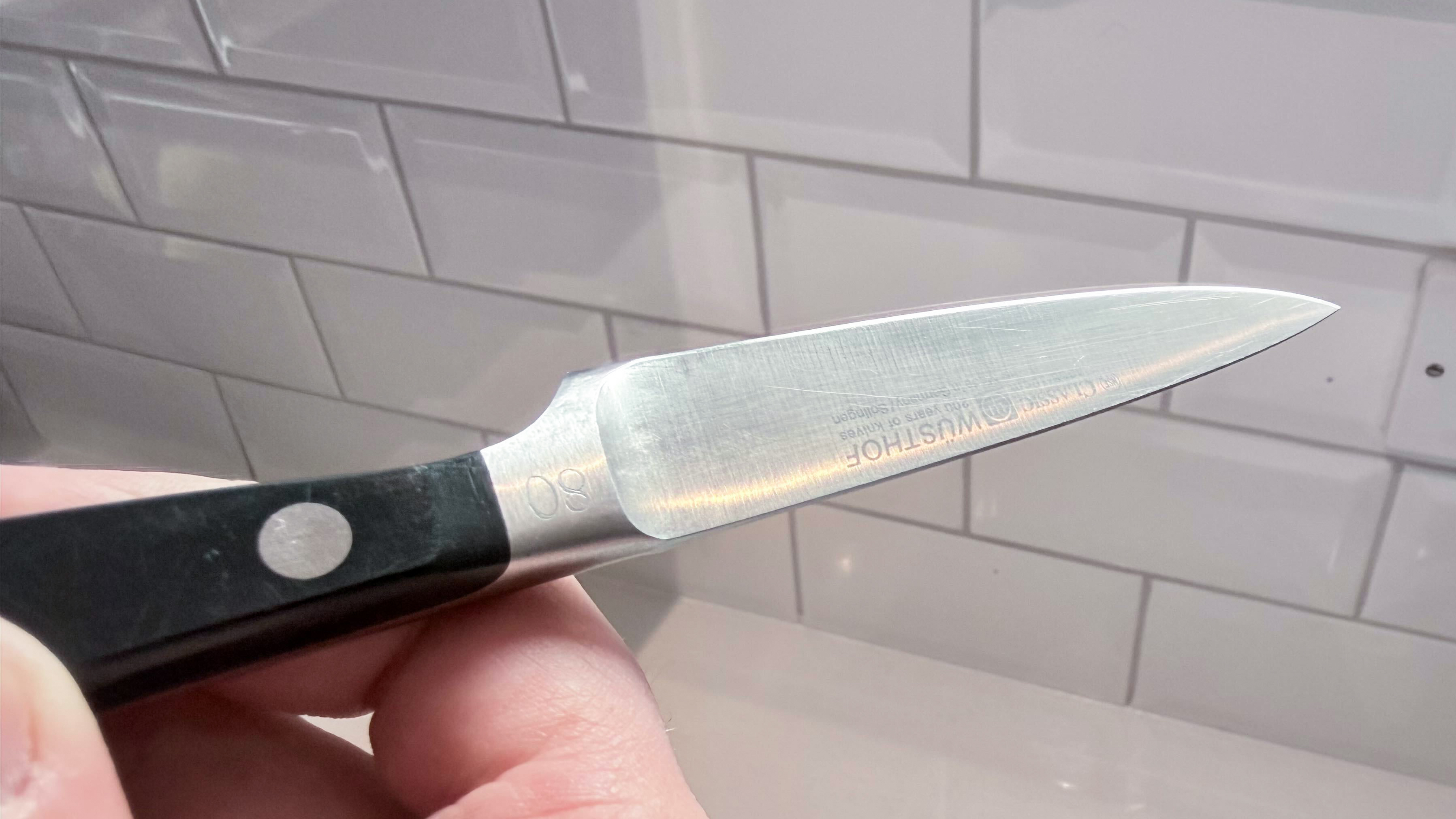 A W&amp;uuml;sthof knife in hand having been sharpened on the Tormek T-1