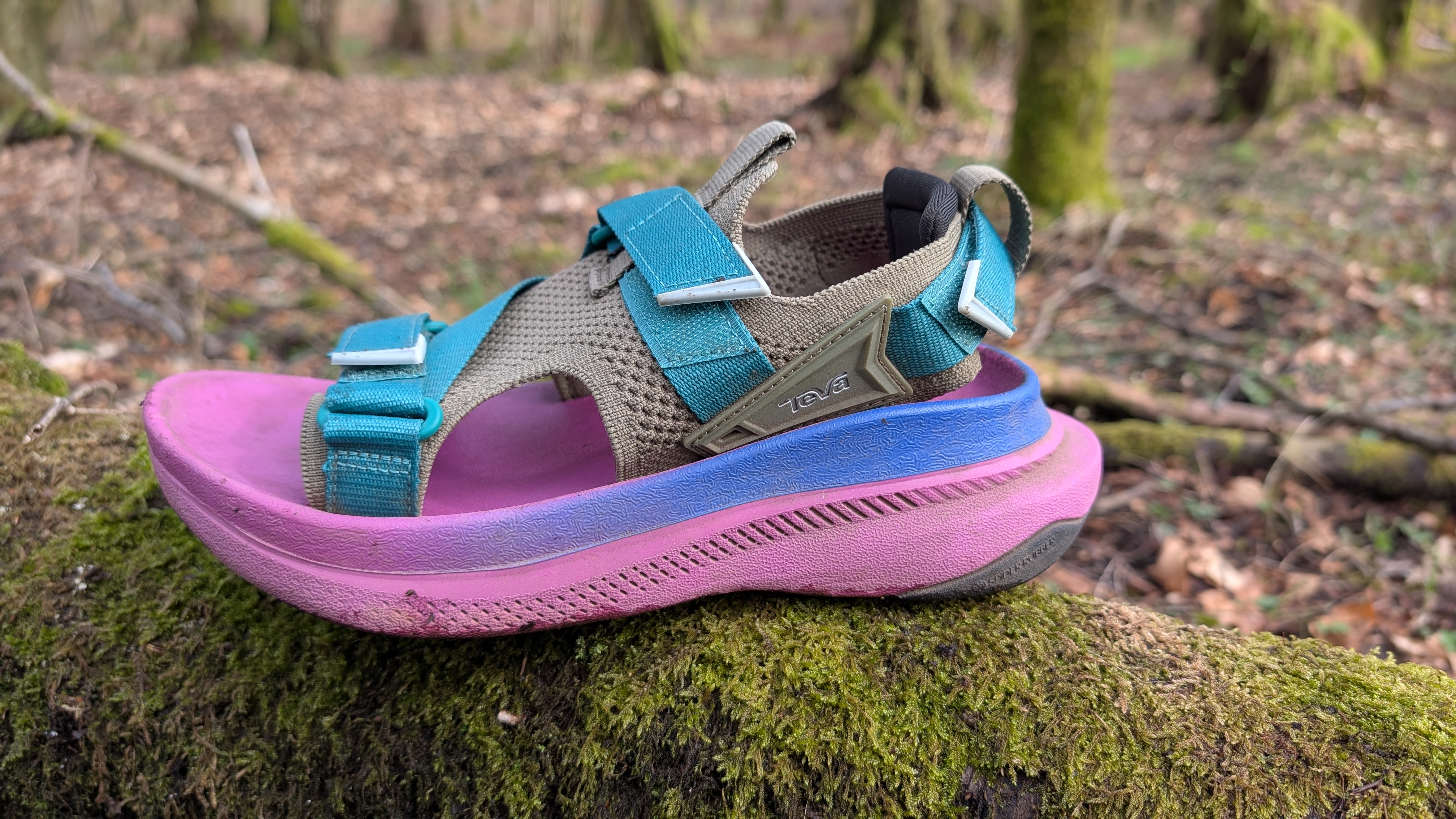 Pink and blue Teva Aventrail running sandal on a tree branch
