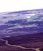 67D04852-1BEE-4D92-9B60-7974F3339AC9.jpg