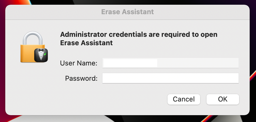 macOS Erase Assistant window