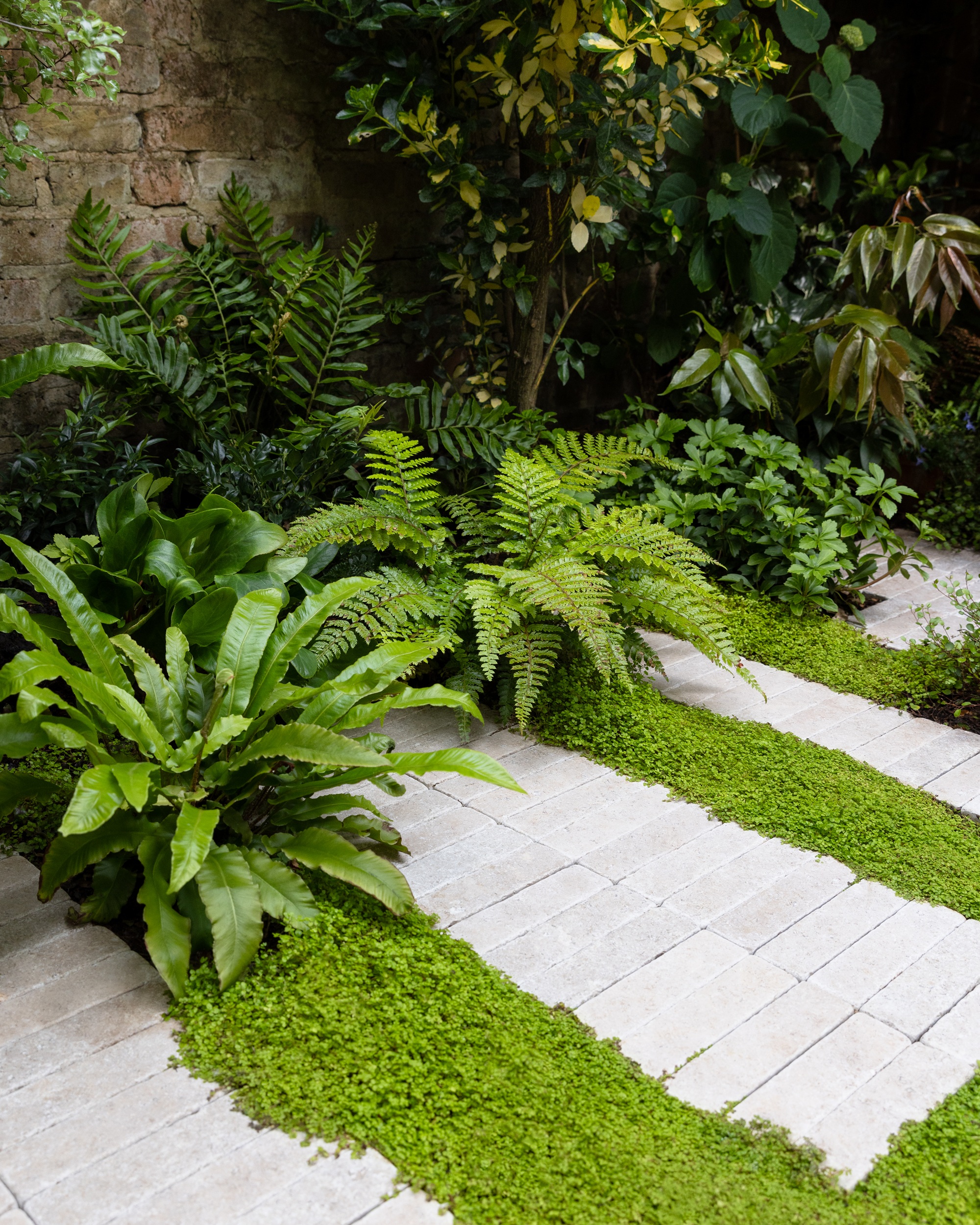 a garden patio with mind your business and ferns