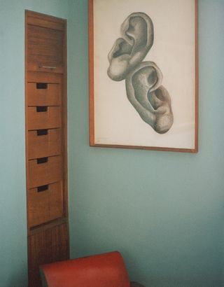 Ears, by Ursula Goldfinger, 1938, Willow Road Studio Frith exhibition