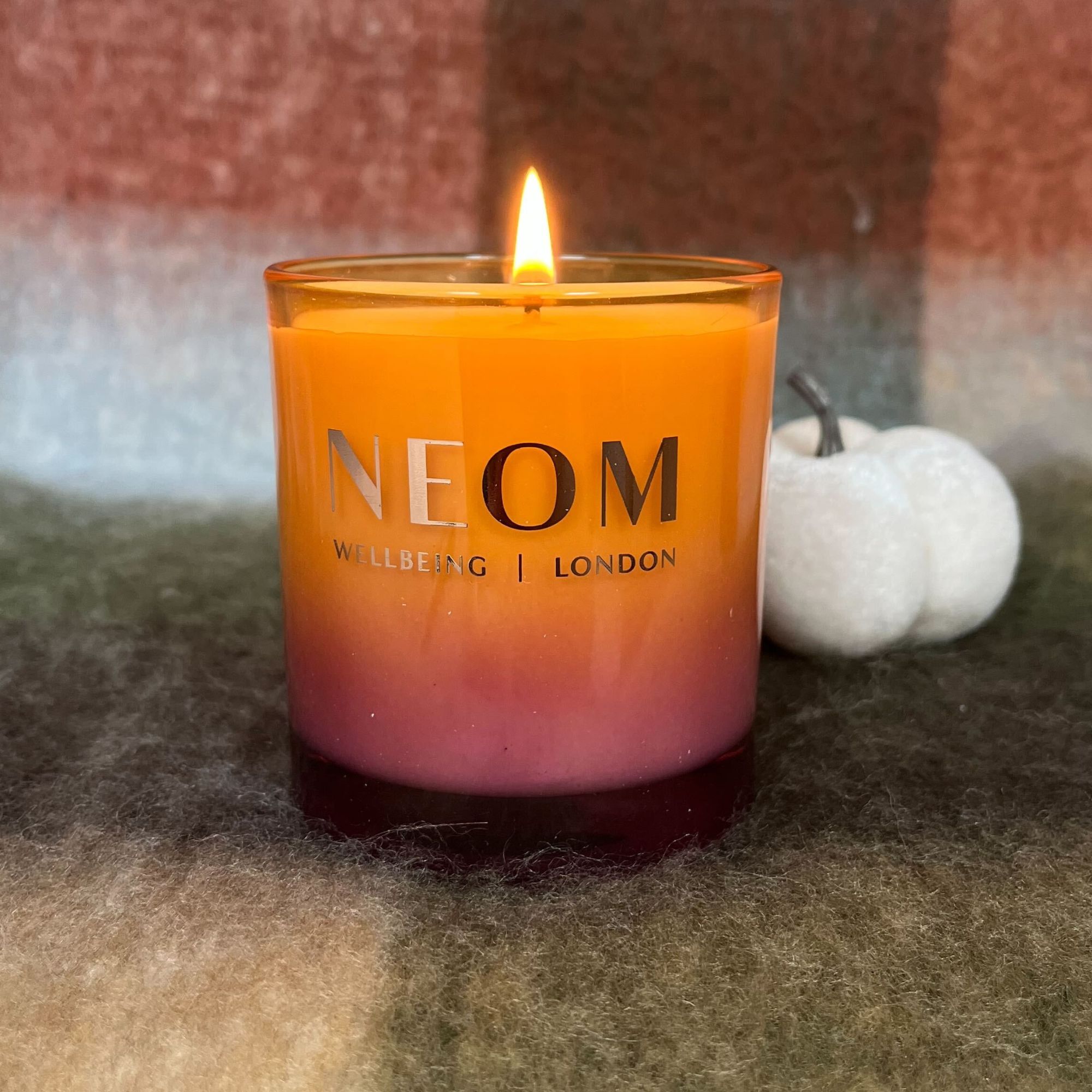Neom cosy nights