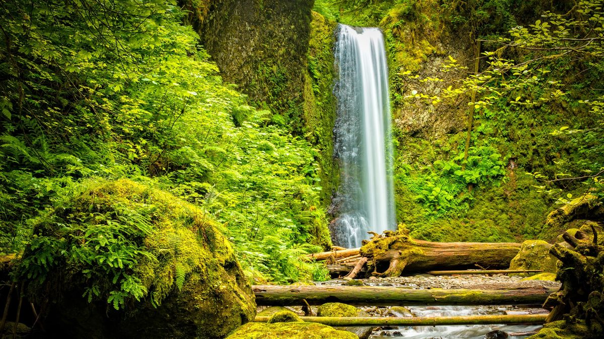 Wiesendanger Falls, Oregon