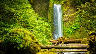 Wiesendanger Falls, Oregon
