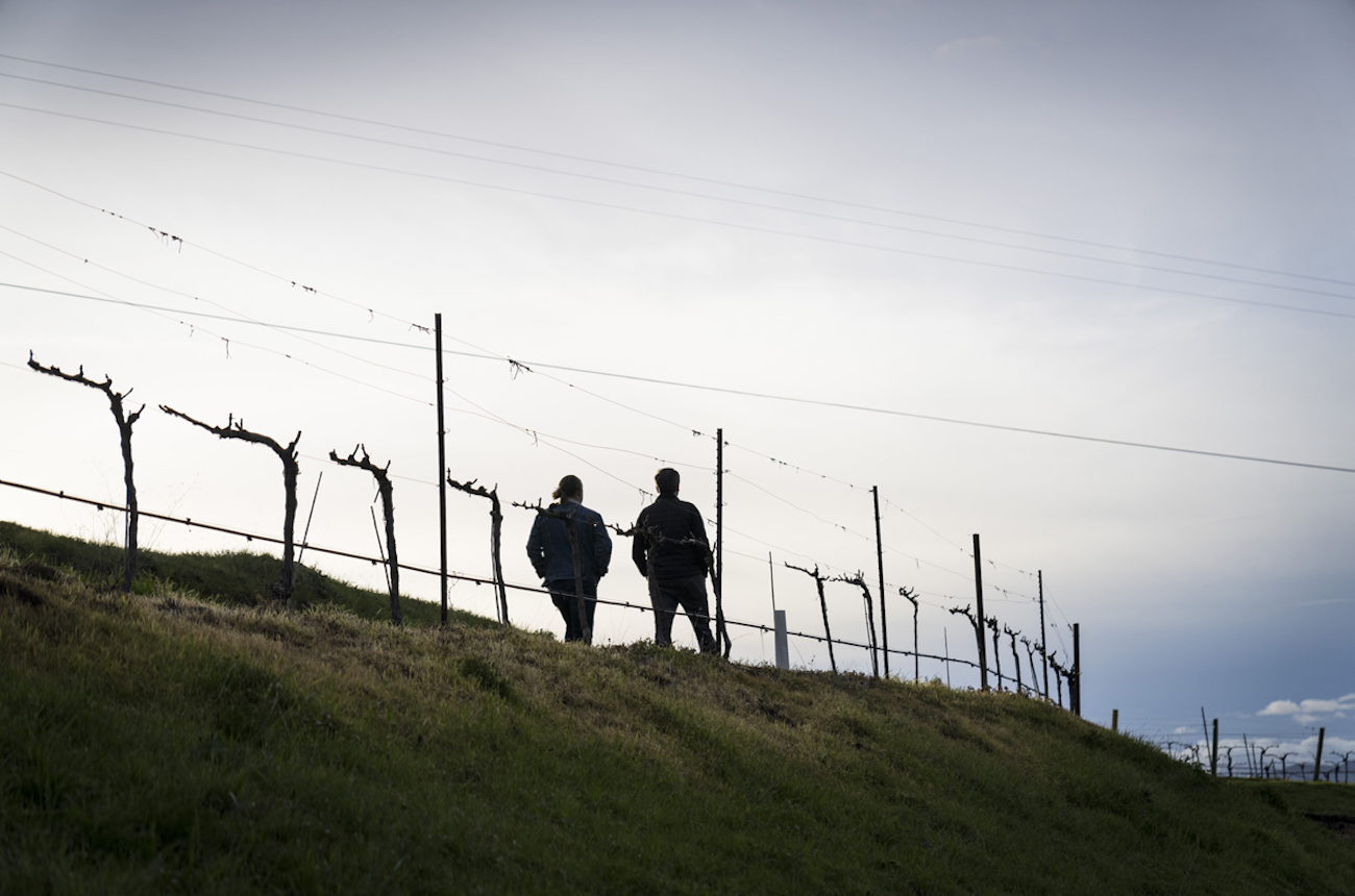 Gagnon and Kennedy walking the vineyards